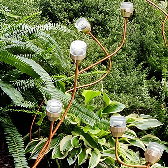 Outdoor Flower Bud LED Lawn Lights – Apple &amp; Grape Designs