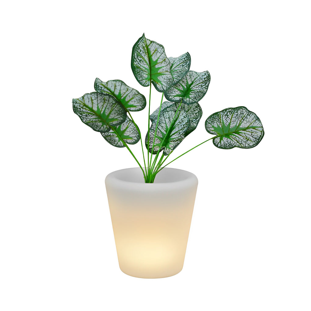 Luminous Flowerpot with RGB Lighting – Solar, Rechargeable &amp; Hardwired Options