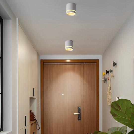 Cylindrical Shapes LED Modern Ceiling Light