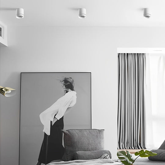 Cylindrical Shapes LED Modern Ceiling Light