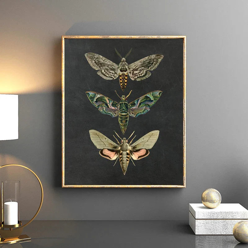 Vintage Flying Insect Specimen Canvas Wall Art Print – Lumulox Studios