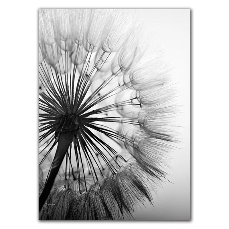 Delicate Dandelions Black White Inspirational Canvas Wall Art Unframed