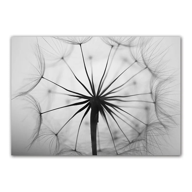 Delicate Dandelions Black White Inspirational Canvas Wall Art Unframed