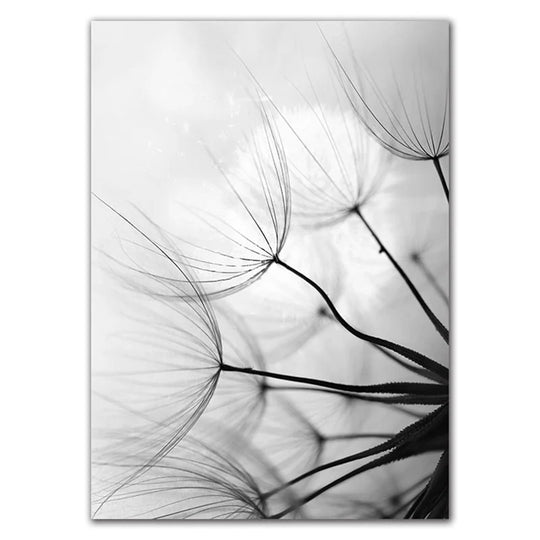 Delicate Dandelions Black White Inspirational Canvas Wall Art Unframed