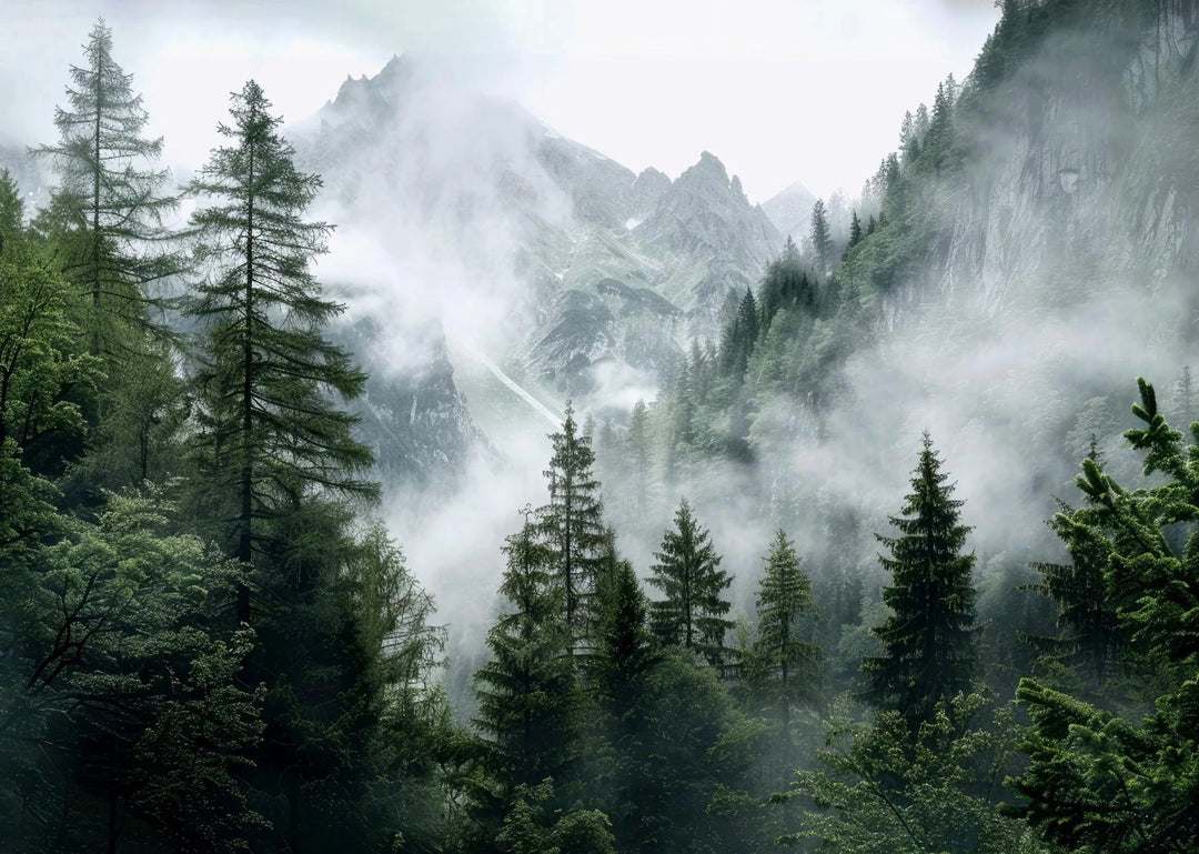 Green Mountain Misty Forest Landscape Wall Art Canvas Print
