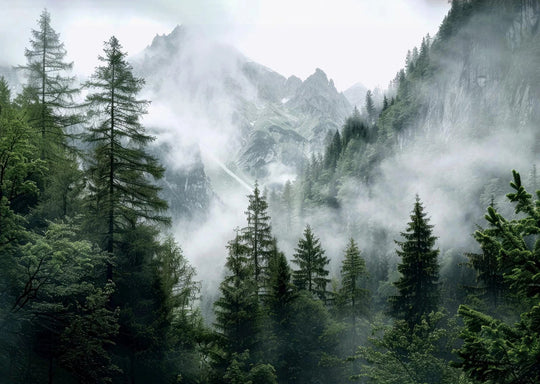 Green Mountain Misty Forest Landscape Wall Art Canvas Print