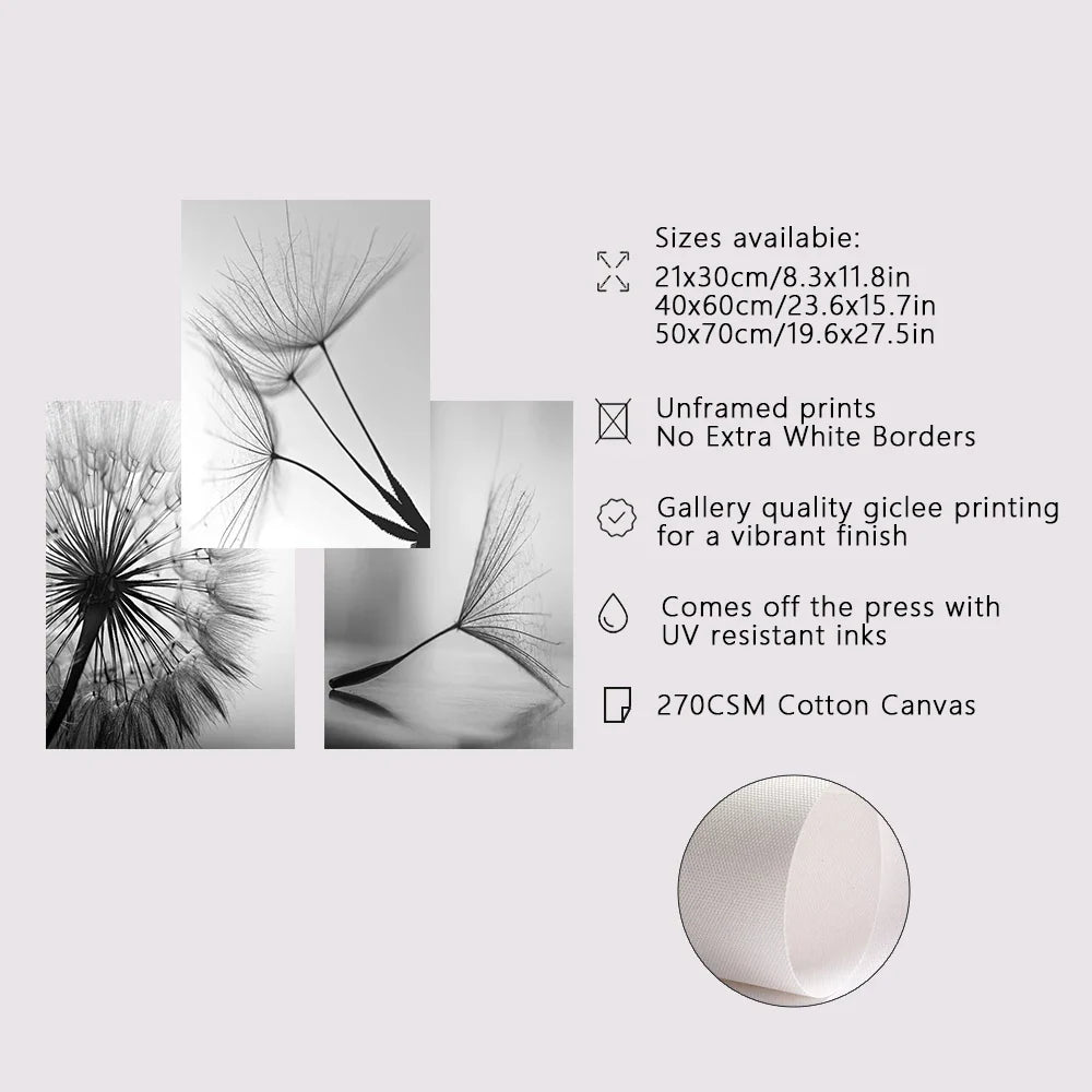 Minimalist Dandelion Wisps Black White Canvas Wall Art Unframed