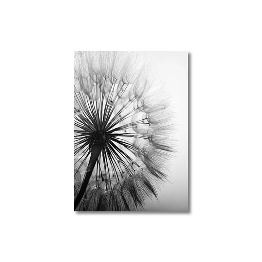 Minimalist Dandelion Wisps Black White Canvas Wall Art Unframed