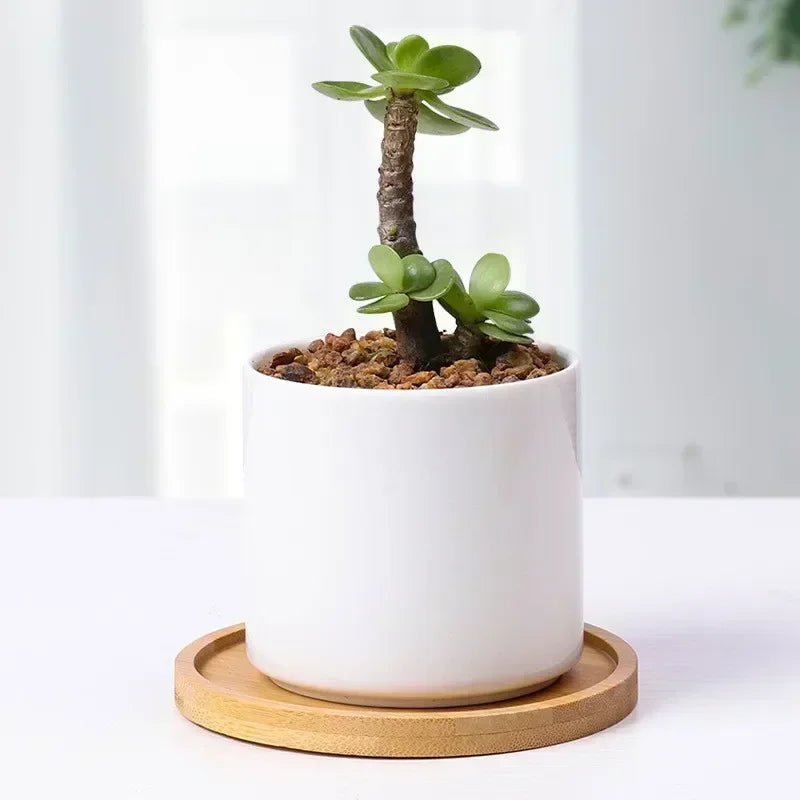 Multi Bamboo Tray Wooden Saucer Coaster Plate