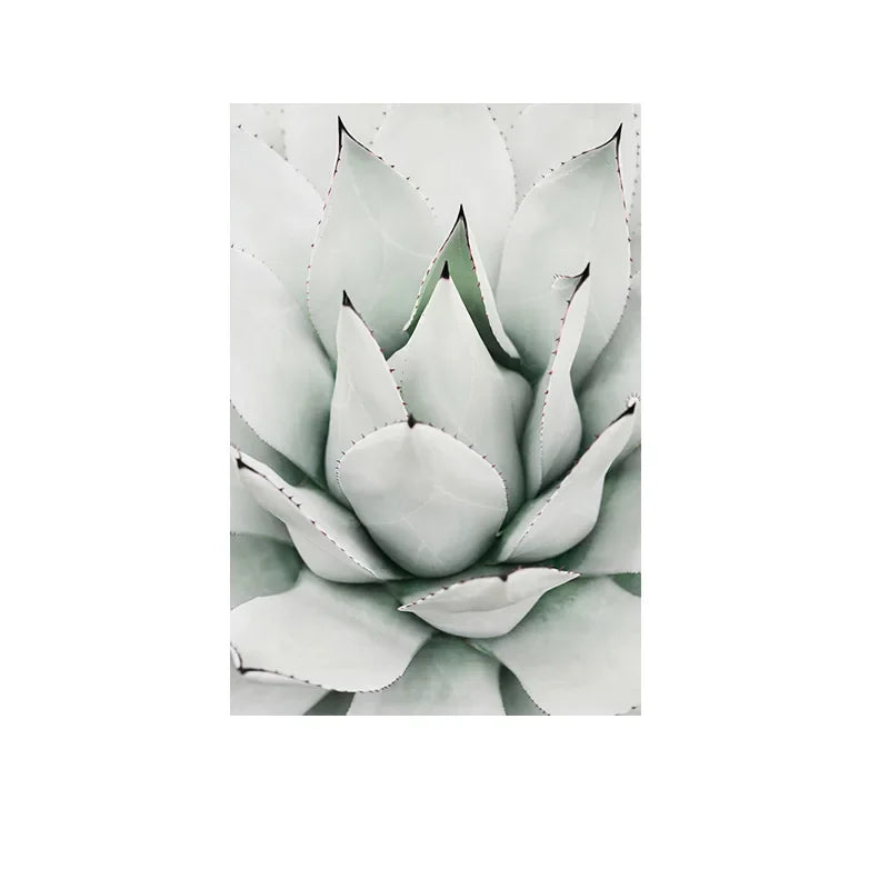 Cactus Botanical Canvas Wall Art Green Leaf Print