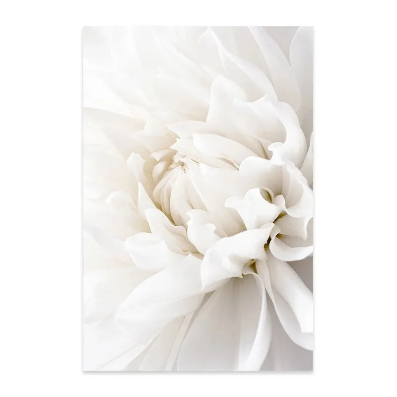 Minimalist White Floral Dahlia Rose Canvas Wall Art