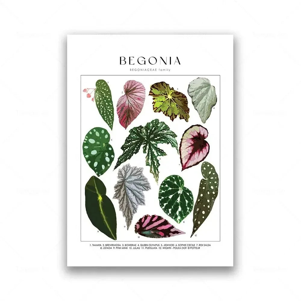 Classic Botanical Specimen Green Leaves Canvas Wall Art