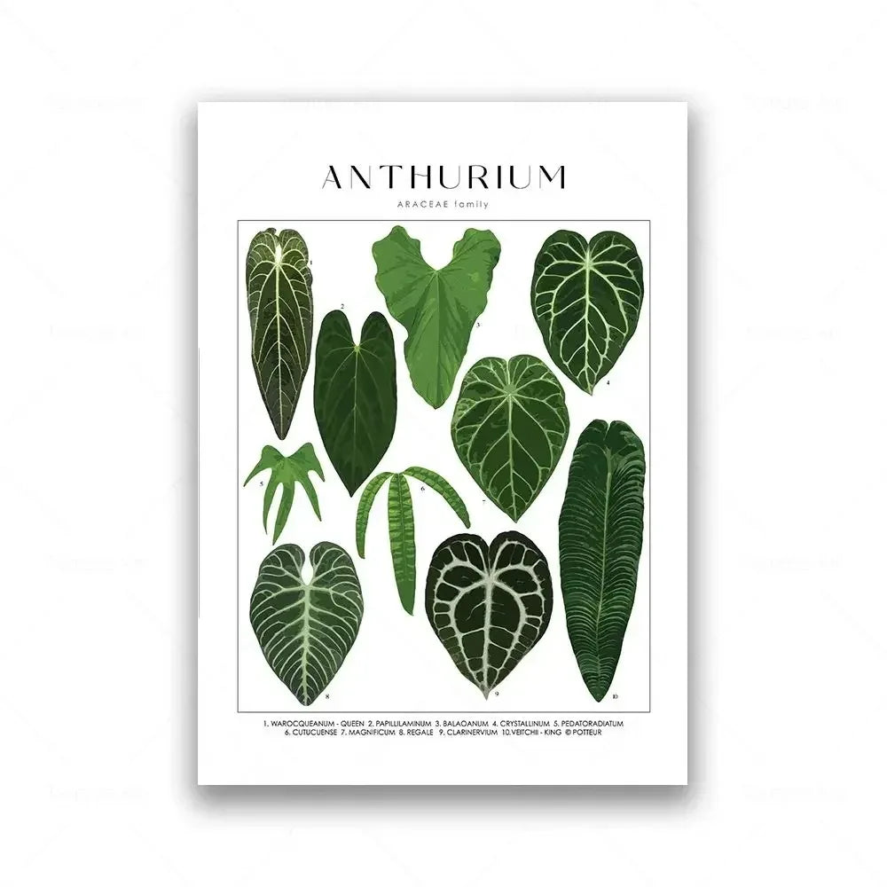 Classic Botanical Specimen Green Leaves Canvas Wall Art