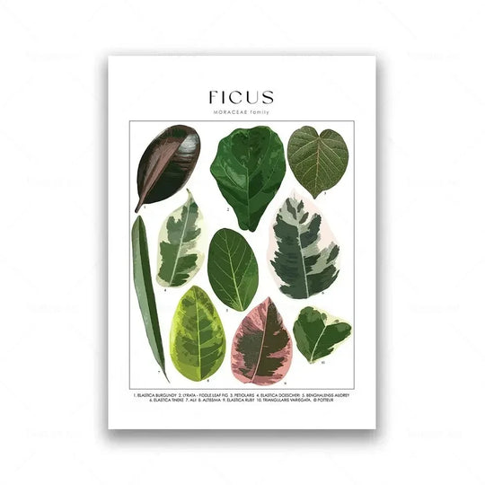 Classic Botanical Specimen Green Leaves Canvas Wall Art