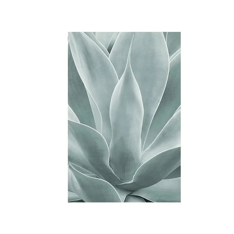 Cactus Botanical Canvas Wall Art Green Leaf Print