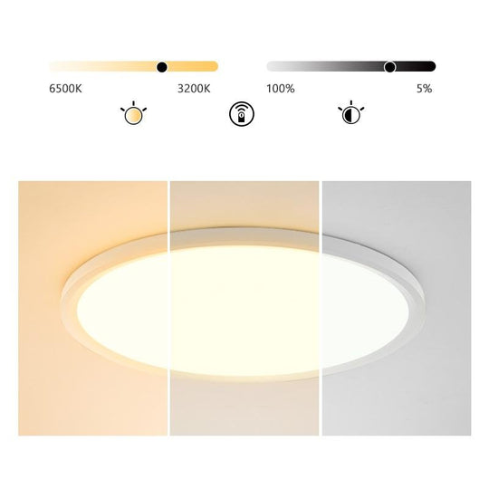 Minimalist Black Circle Industrial Flush Mount Ceiling Light