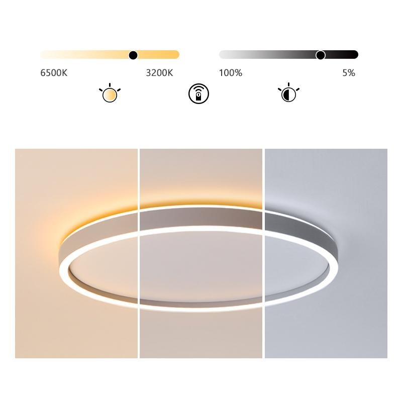 Modern Circle Halo-Shaped LED Flush Mount Ceiling Light