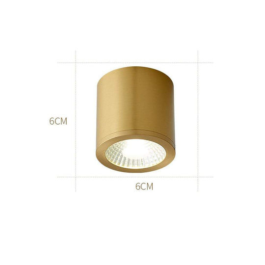 Cylindrical Copper Brass LED Modern Ceiling Light