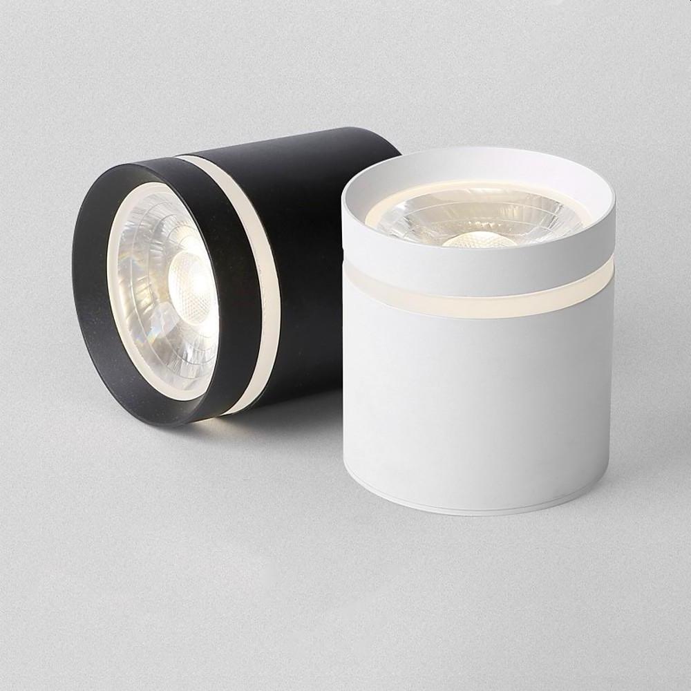 Cylindrical Shapes LED Modern Ceiling Light