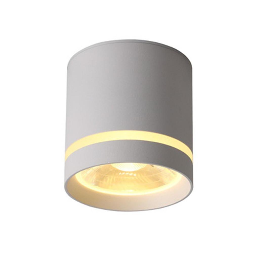 Cylindrical Shapes LED Modern Ceiling Light