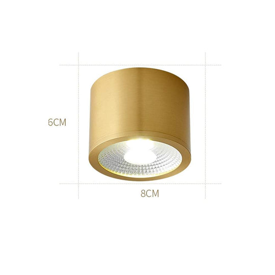 Cylindrical Copper Brass LED Modern Ceiling Light