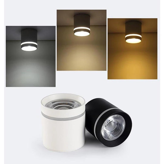 Cylindrical Shapes LED Modern Ceiling Light